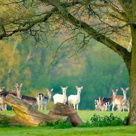 New Forest Retreat Shorefield Country Park Лімінгтон Екстер'єр фото